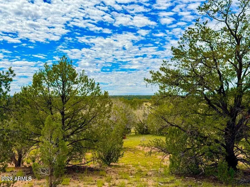 0 Dusty Rose Ranch Lot C 12 Acre --, Seligman, AZ 86337 - #1