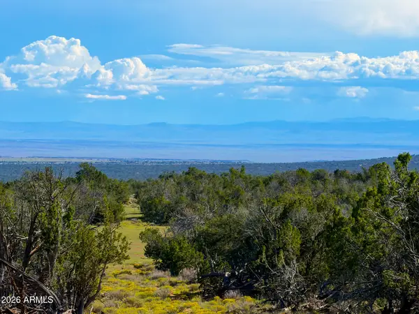 TBD Co Rd N7480 40 Acres --, St Johns, AZ 85936