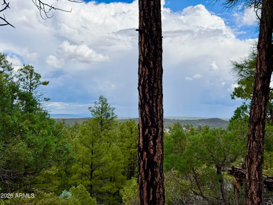 6292 Fawn Lane, Show Low, AZ 85901 - #2