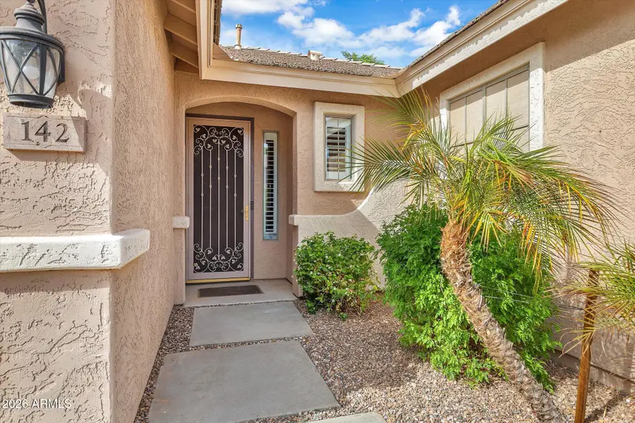 142 W Raven Drive, Chandler, AZ 85286 - #3