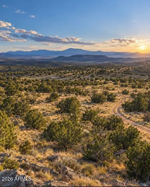 0 N Relax Road #494, Seligman, AZ 86337