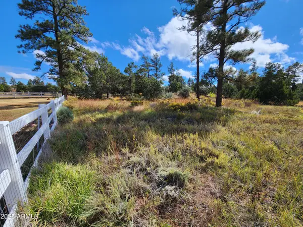 6662 State Route 260 --, Show Low, AZ 85901