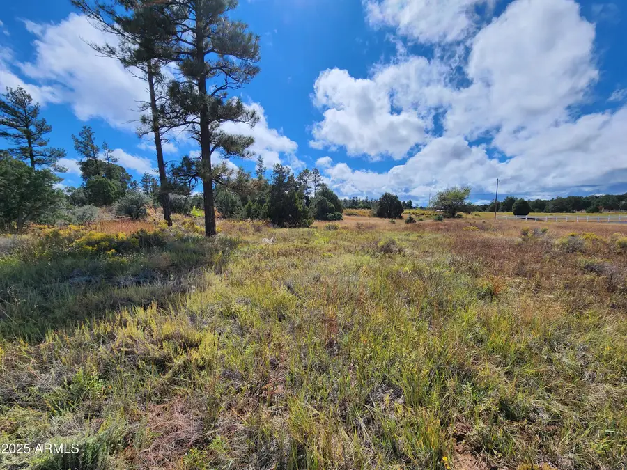 6662 State Route 260 --, Show Low, AZ 85901 - #2