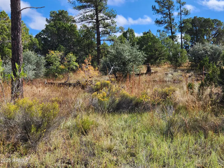 6662 State Route 260 --, Show Low, AZ 85901 - #3
