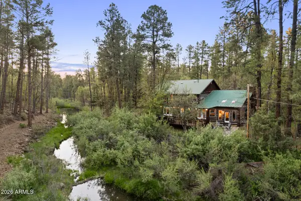 463 W Pine Shadow Drive, Lakeside, AZ 85929