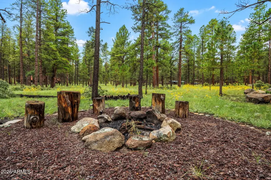 10 County Road -- #1033, Greer, AZ 85927 - #3