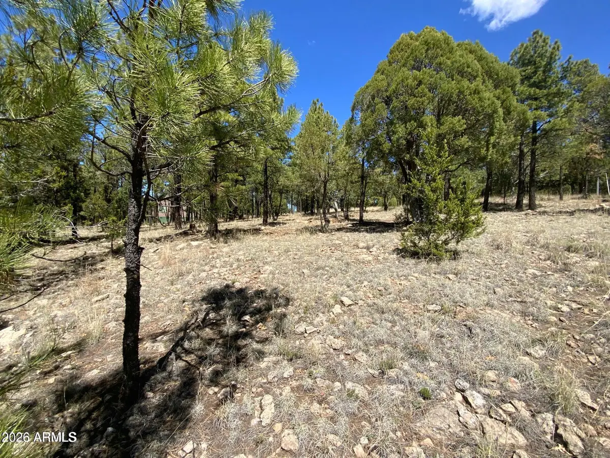 4199 Starlight Drive #613, Happy Jack, AZ 86024 - #1