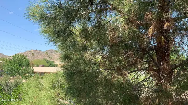 10410 N Cave Creek Road #2100, Phoenix, AZ 85020