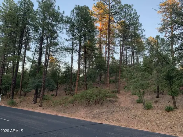 805 S Monument Valley Drive #166, Payson, AZ 85541