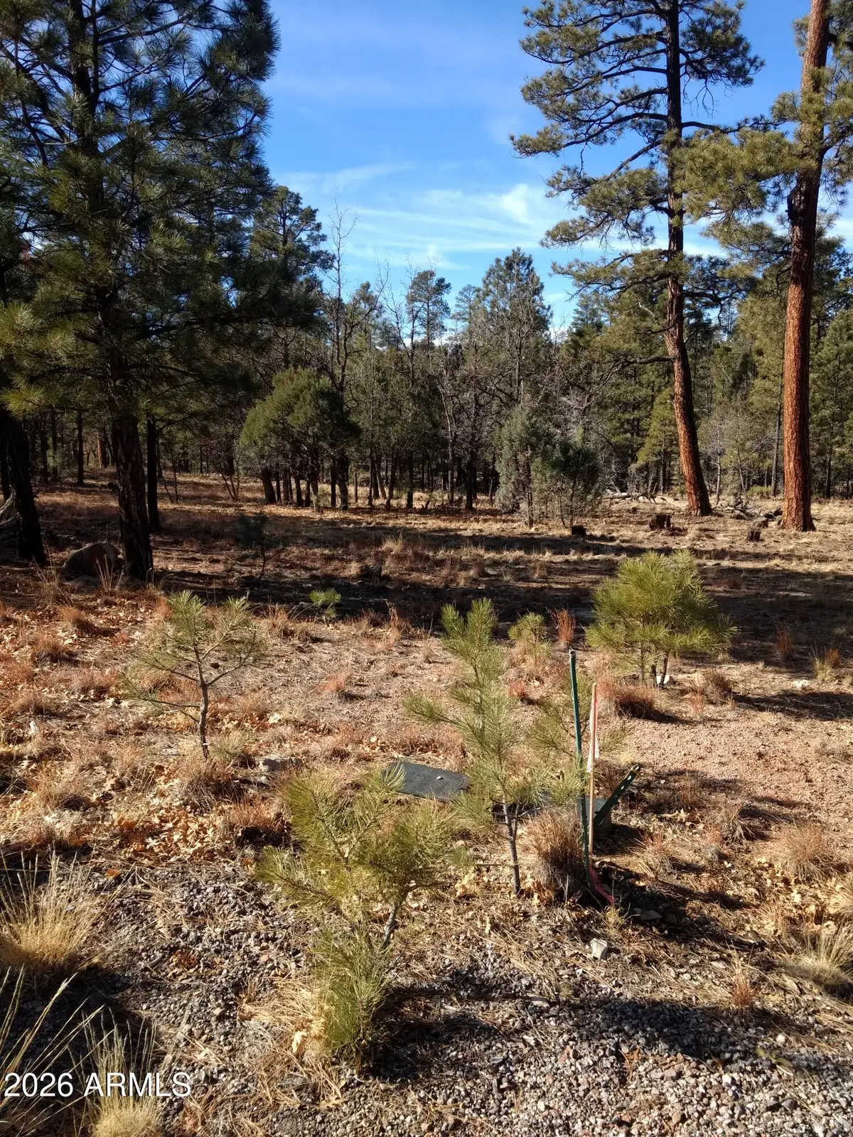 4357 Juniper Drive #100, Happy Jack, AZ 86024 - #1