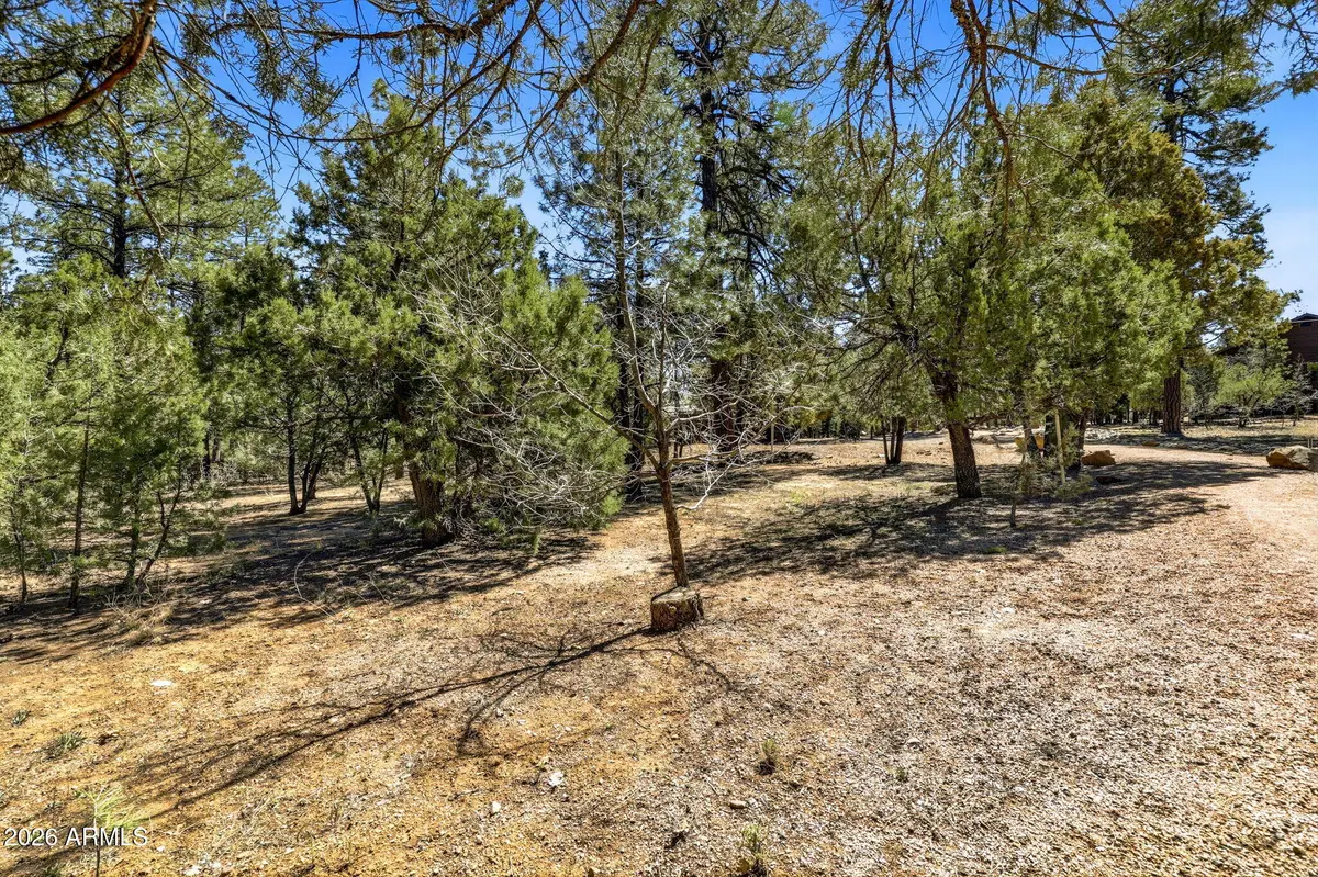 5039 Winter Hawk Court #69, Lakeside, AZ 85929 - #1