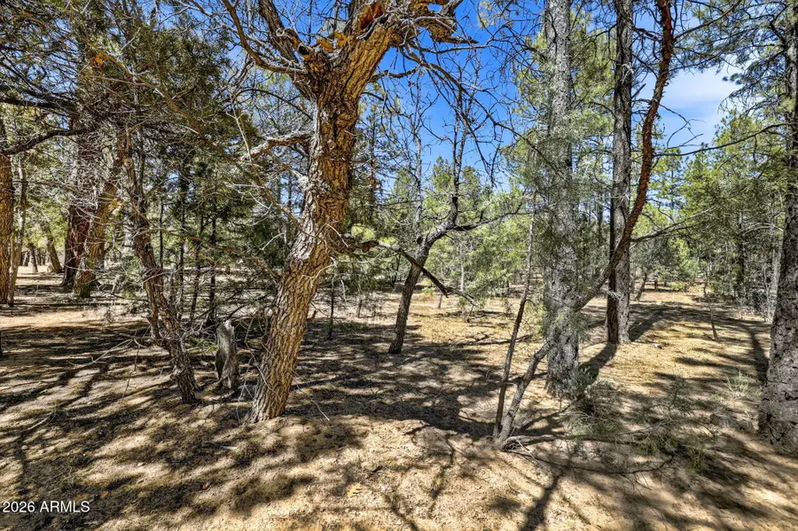 5039 Winter Hawk Court #69, Lakeside, AZ 85929 - #2
