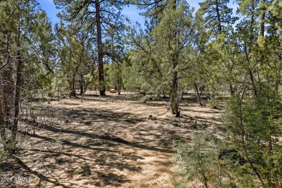 5039 Winter Hawk Court #69, Lakeside, AZ 85929 - #3