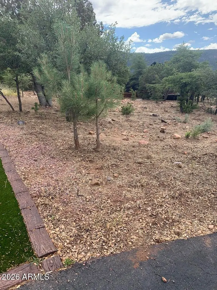 164 Arrowhead Circle #164, Pine, AZ 85544 - #2