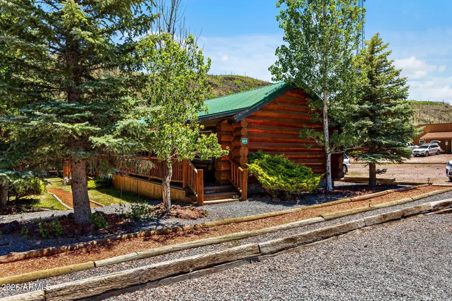 80 1120 Unit 203 (cabin 251) --, Greer, AZ 85927 - #2