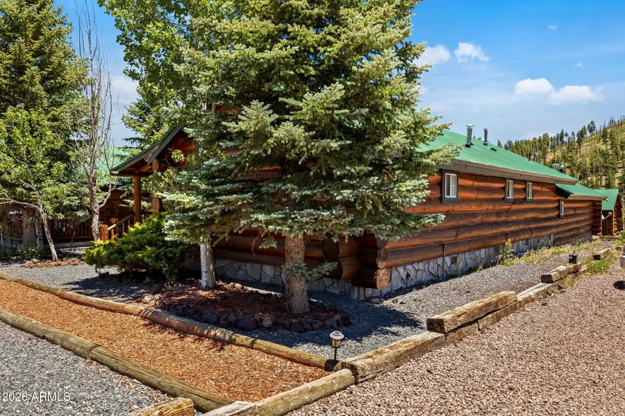 80 1120 Unit 203 (cabin 251) --, Greer, AZ 85927 - #3