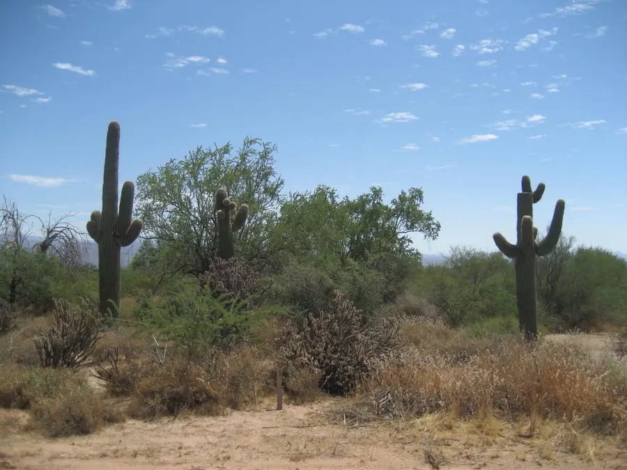 0 N 162nd Street #metes and bounds, Scottsdale, AZ 85262 - #3