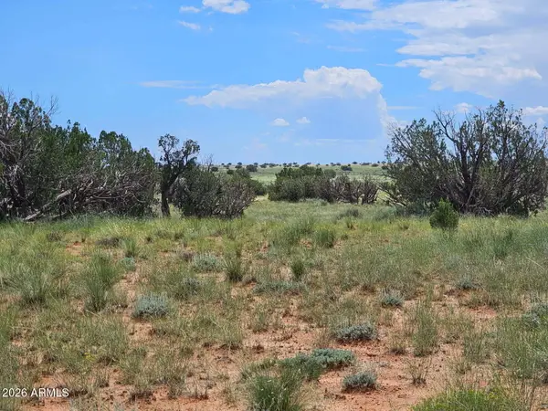 1924 Hutch Road #39, Heber, AZ 85928