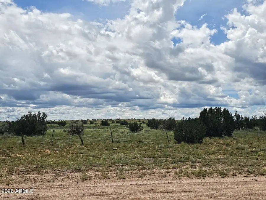 1924 Hutch Road #39, Heber, AZ 85928 - #2
