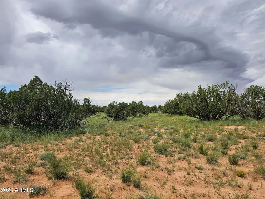 1924 Hutch Road #39, Heber, AZ 85928 - #3