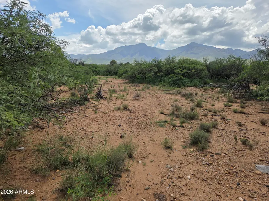 TBD S Tortuga Lane, Hereford, AZ 85615 - #2