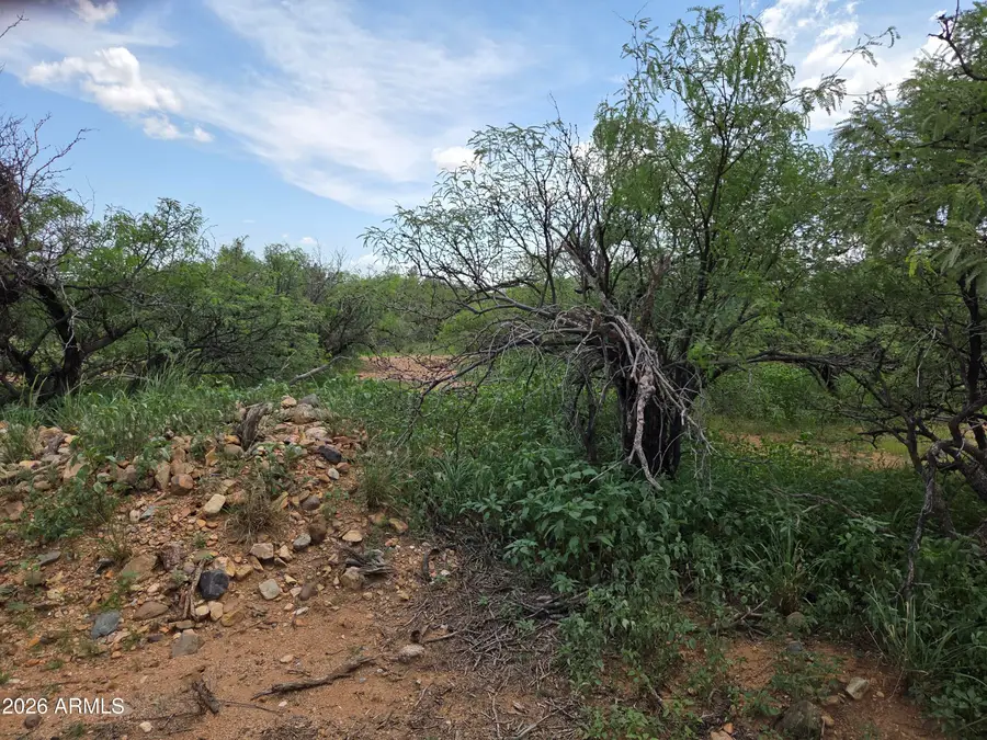 TBD S Tortuga Lane, Hereford, AZ 85615 - #3