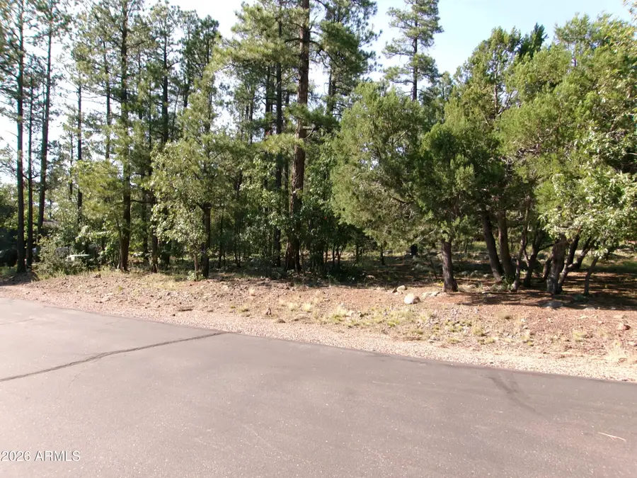 301 E Huckleberry Lane #032/033/ 034/035/036, Show Low, AZ 85901 - #2