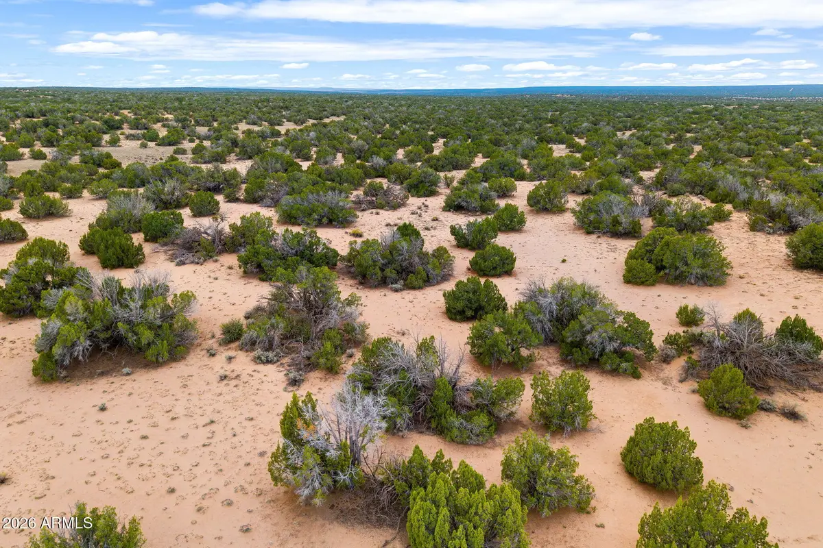 Lot 3 Witch Well Ranches -- #3, Saint Johns, AZ 85936 - #1