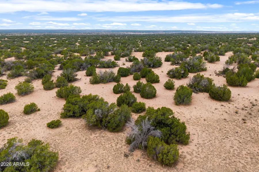 Lot 3 Witch Well Ranches -- #3, Saint Johns, AZ 85936 - #2
