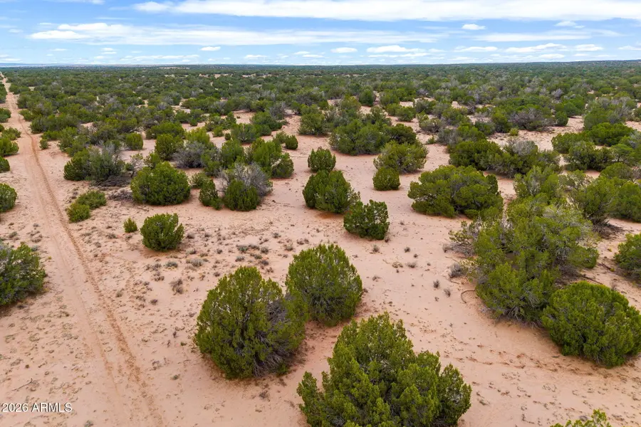 Lot 3 Witch Well Ranches -- #3, Saint Johns, AZ 85936 - #3