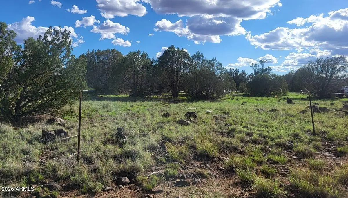 3851 N Boone Trail #56, Ash Fork, AZ 86320 - #1