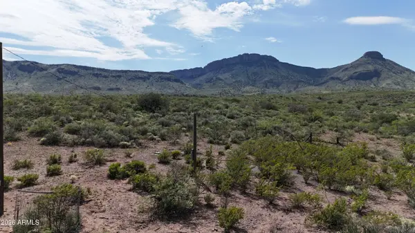 40 ac E Wildcat Road #141, Douglas, AZ 85607