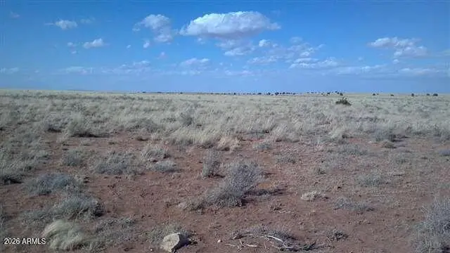 Lot 487 Chevelon Cyn Ranch Unit 3 -- #487, Heber, AZ 85928 - #1