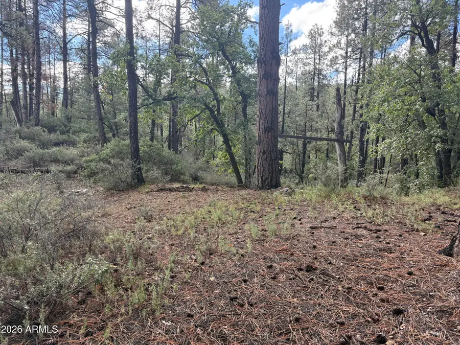 00 E Evening Shadow Road, Crown King, AZ 86343 - #2