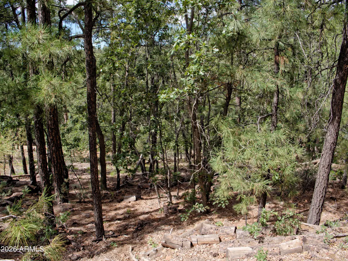 015&016 S Ponderosa Drive #15, Prescott, AZ 86303 - #1