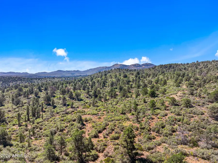 003 Blue Sky 14.14 Ac -- #1C, Peeples Valley, AZ 86332 - #2