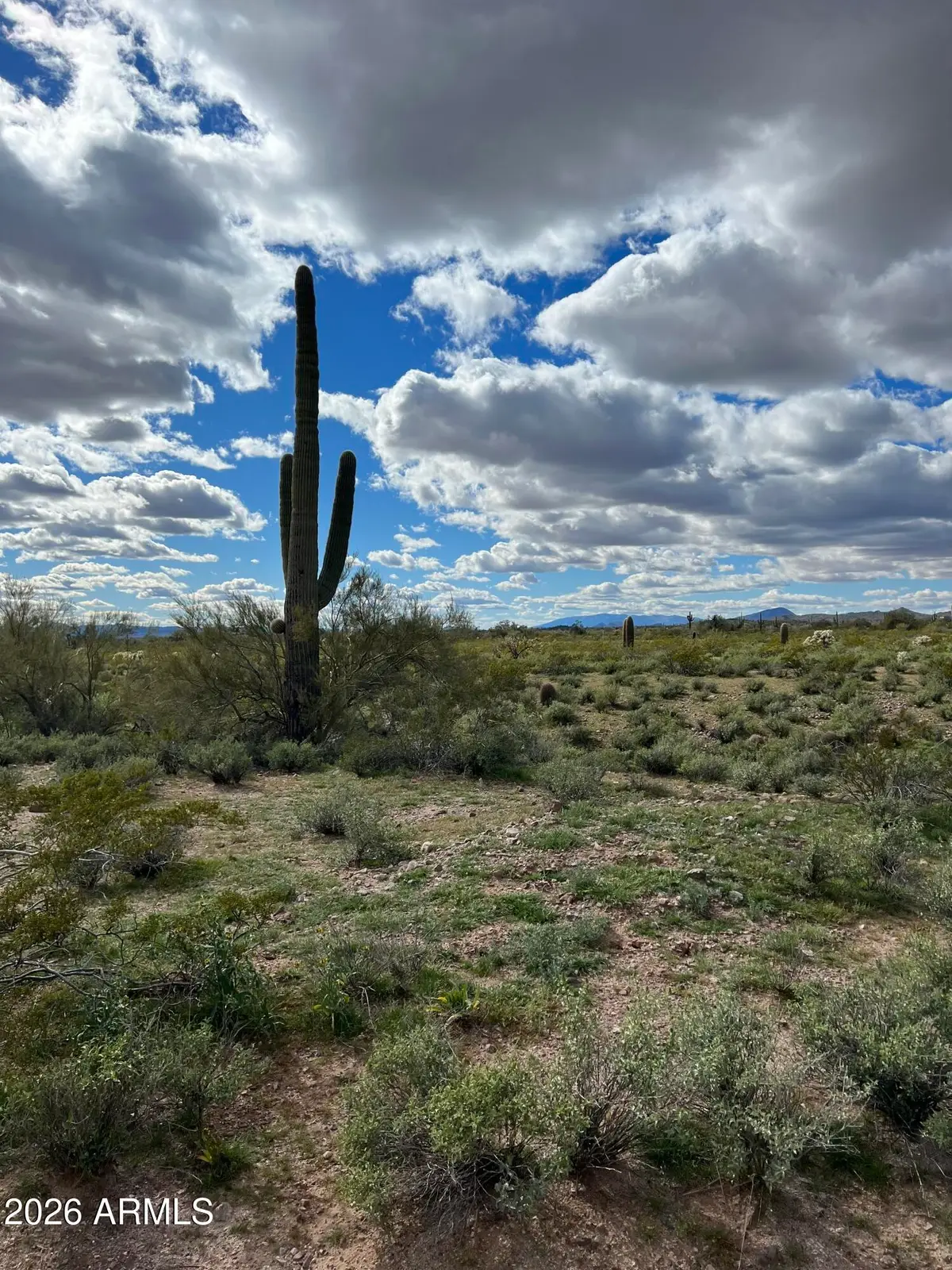 0 N 339th Avenue #49, Wickenburg, AZ 85390 - #1