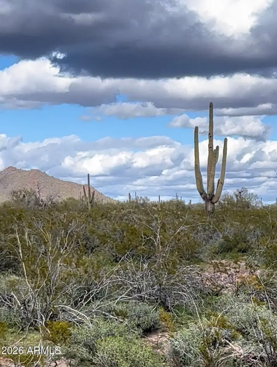 0 N 339th Avenue #49, Wickenburg, AZ 85390 - #2