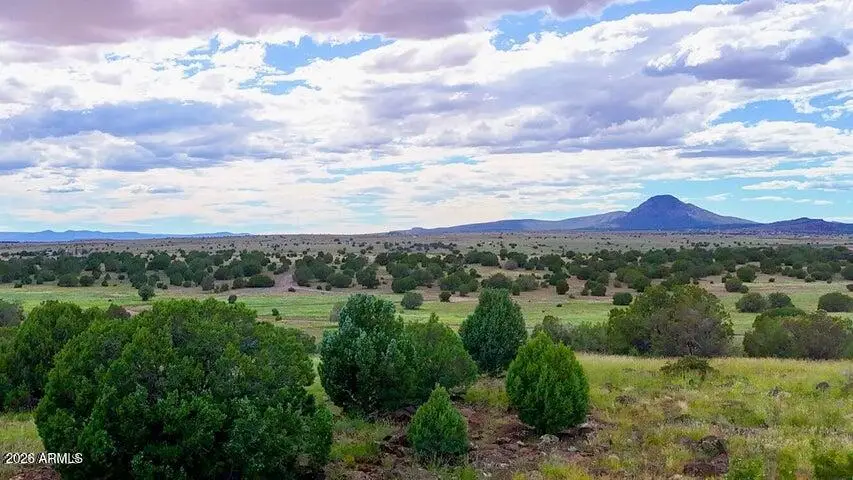 TBD Rocky Hill Rd Lot C 10 Acres --, Ash Fork, AZ 86320 - #1