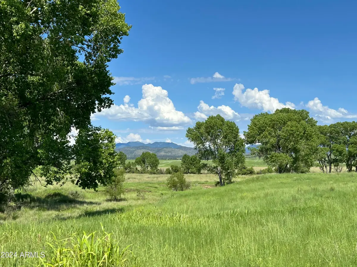 TBD San Rafael Valley Road, Patagonia, AZ 85624 - #1