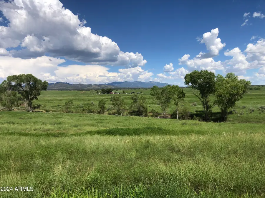 TBD San Rafael Valley Road, Patagonia, AZ 85624 - #3