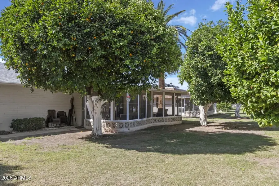 10324 W Desert Forest Circle, Sun City, AZ 85351 - #3