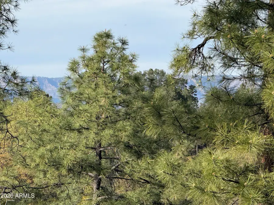 700 N Tyler Parkway, Payson, AZ 85541 - #3