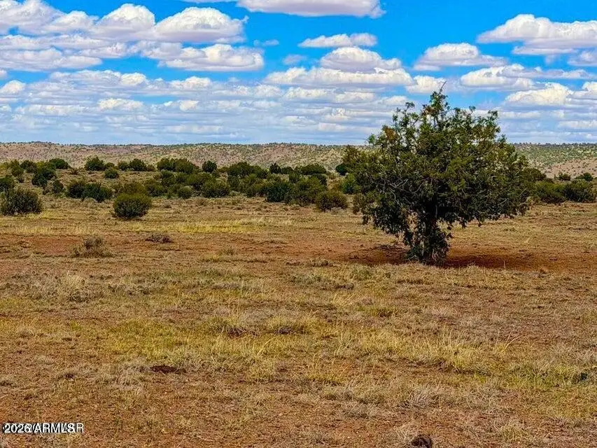 85 Co Rd 8500 40 Acres --, Concho, AZ 85924 - #3