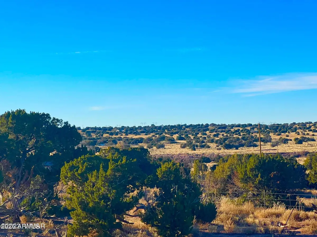 9747 Willis Hill Trl 40 Acres --, Snowflake, AZ 85937 - #1