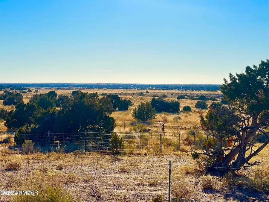 9747 Willis Hill Trl 40 Acres --, Snowflake, AZ 85937 - #2