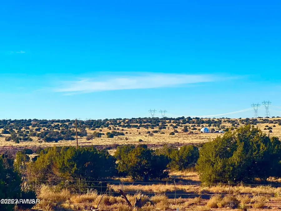 9747 Willis Hill Trl 40 Acres --, Snowflake, AZ 85937 - #3