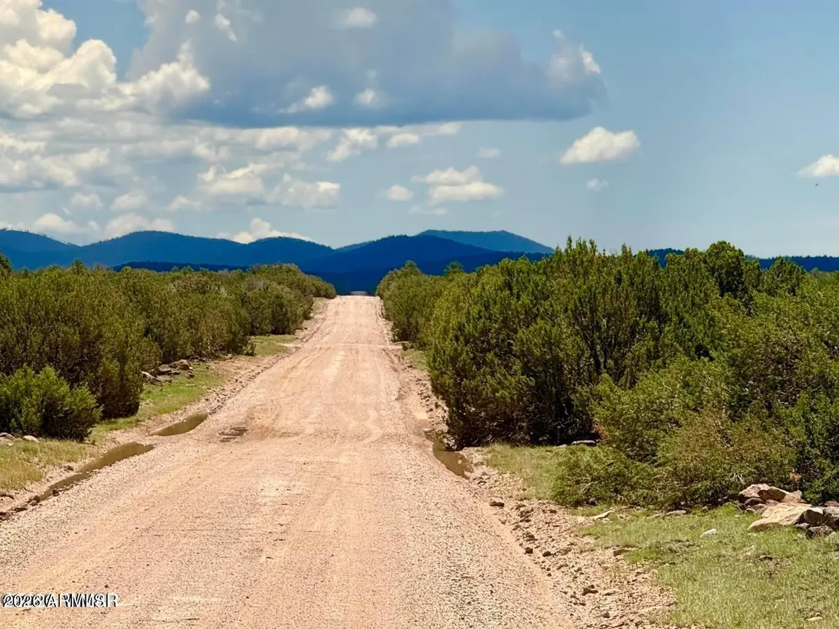 125 Co Rd 8051 --, Concho, AZ 85924 - #1