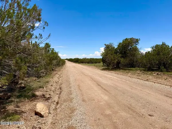 129 Co Rd 8051 --, Concho, AZ 85924