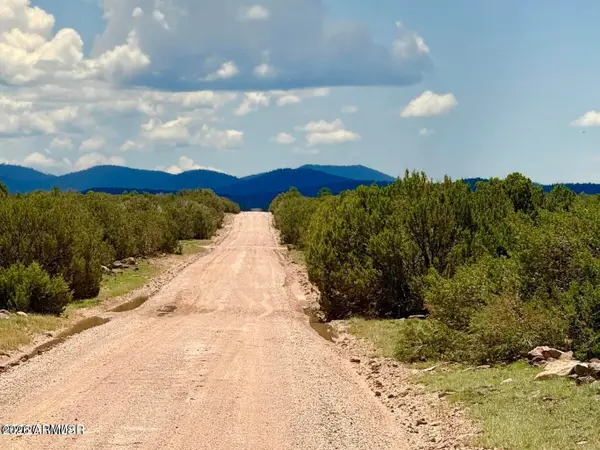 127 Co Rd 8051 --, Concho, AZ 85924